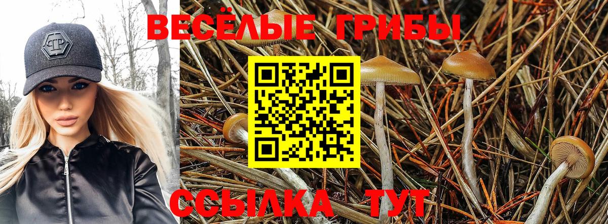 Псилоцибиновые грибы мухоморы Красноармейск
