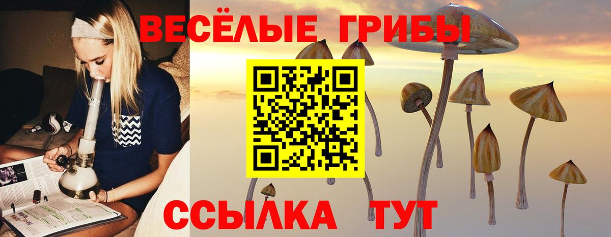 Красноармейск  Галлюциногенные грибы мухоморы  Вход с VPN 